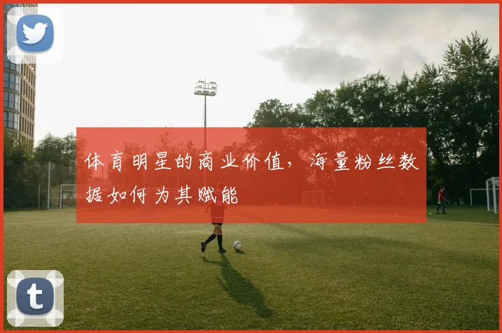 体育明星的商业价值,海量粉丝数据如何为其赋能