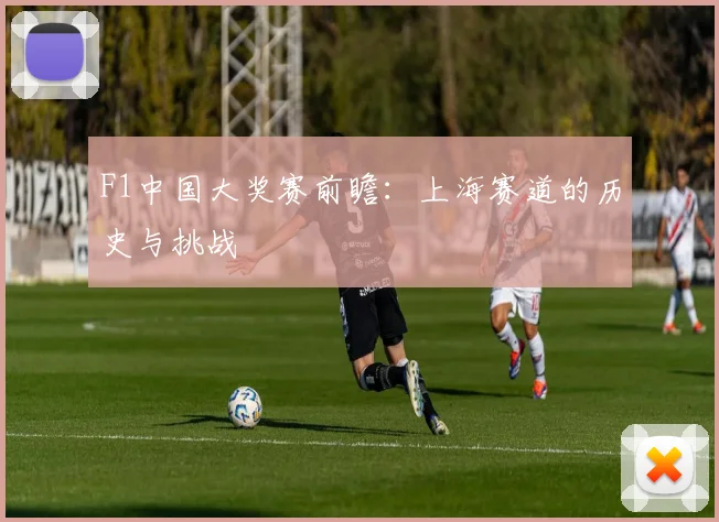 F1中国大奖赛前瞻：上海赛道的历史与挑战